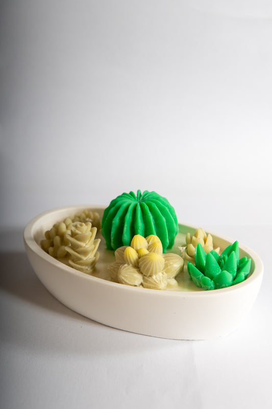 Cactus