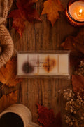 Autumn leaves wax melt